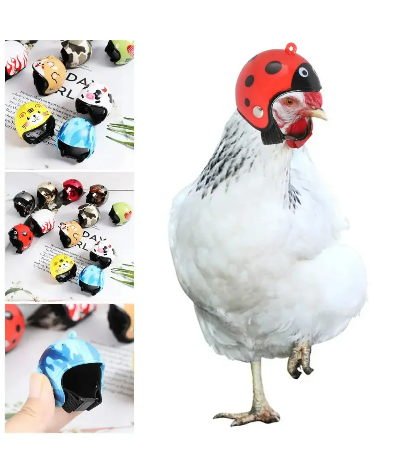 

5PC Funny Chicken Helmet Pet Protective Gear Sun Rain Protection Helmet Costumes Accessories Bird Hens Small Pet Supplies