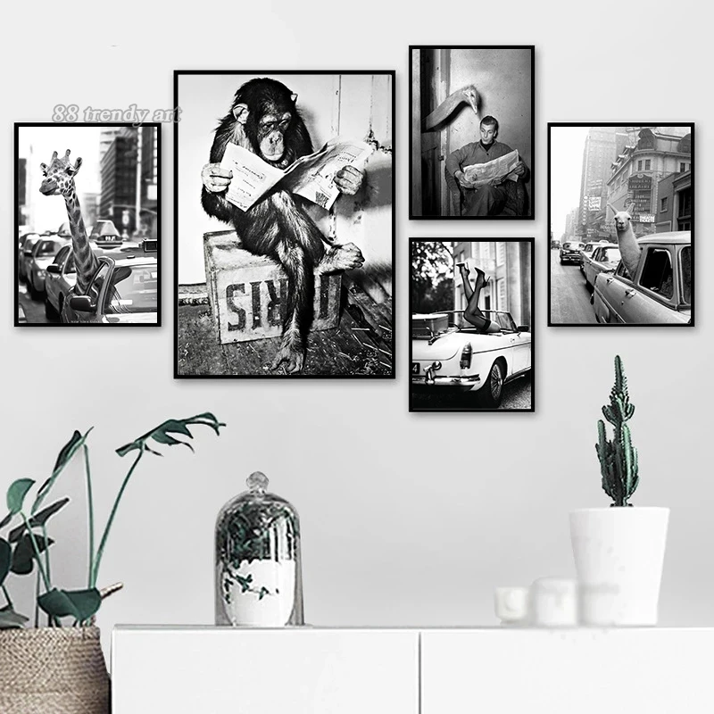

Old Black White Funny Photographic Canvas Wall Art Pictures Monkey Read Newspaper Canvas Poster Alpaca Giraffe In A Texi Mural