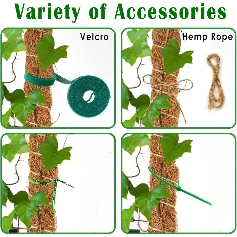 نباتات Monstera المتتالية مقاس 120 سم، نباتات داعمة للتتالي، ملحقات نباتات داخلية متتالية، مناسبة لنمو المتتالي. #6