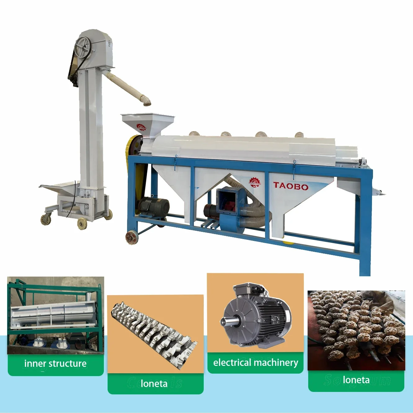 Soybean Polishing Machine Coffee Bean Cleaning and Polishing Machine Rice Polishing Machine