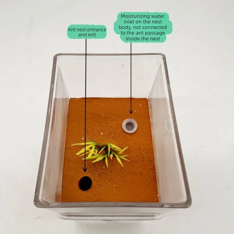 Double Layers Moisturizing Ant Nest Ecological Ant Castle Anthill Habitat Ant‑keeping Supplies
