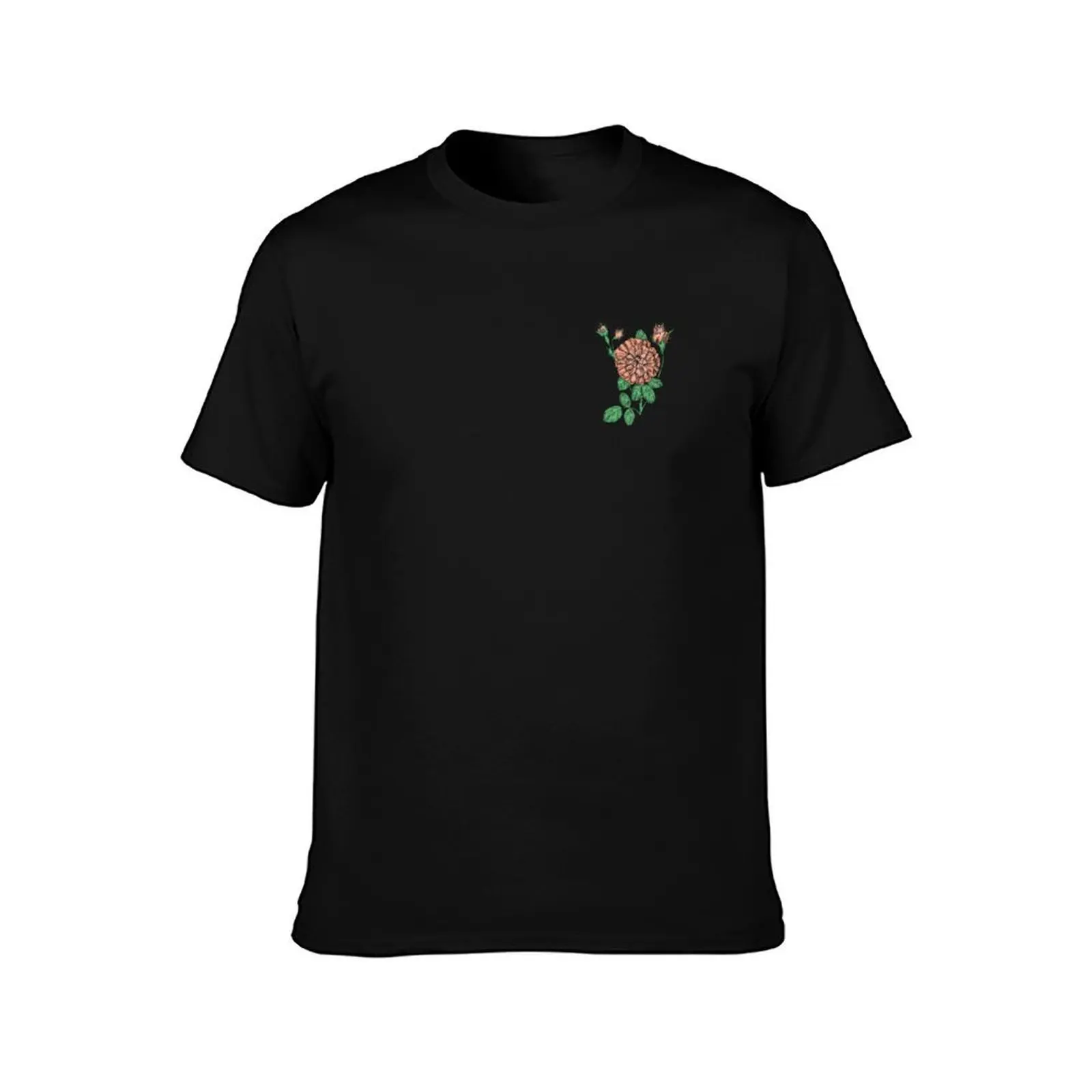 Apricot Rosette Rose Bloom Very Full 40+ Petals In 3+ Rows T-Shirt Soft Anti-Shrink Cotton Tee T-Shirt