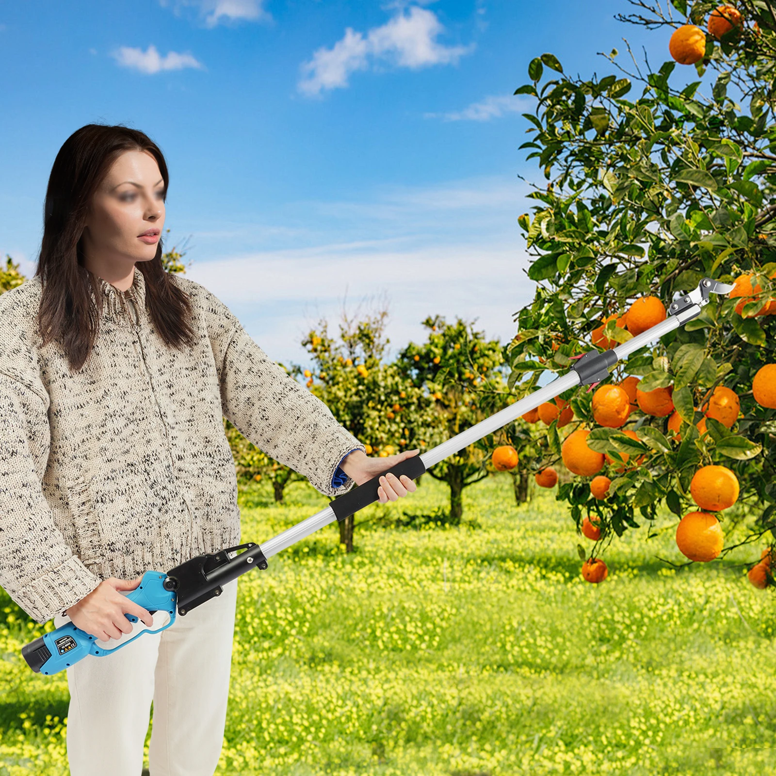 Elektrische Barschere, Rostbeständigkeit, hocheffizienter, batteriebetriebener Barschneider für Gärten/Hofen/Parks/Bauernhof/Orchards – Detail 1