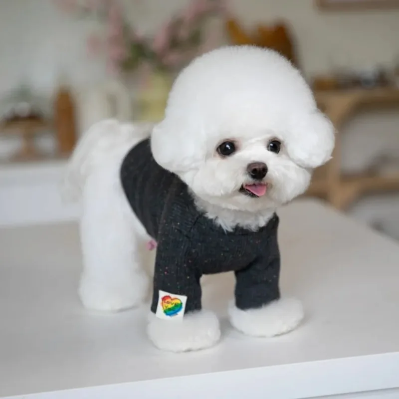 CuteLove Pet Dog Clothes  Winter Fashion Knitted Warm Inner Pet Base Clothes Dog Two Legged T-Skirt  for Small Dog Clothing