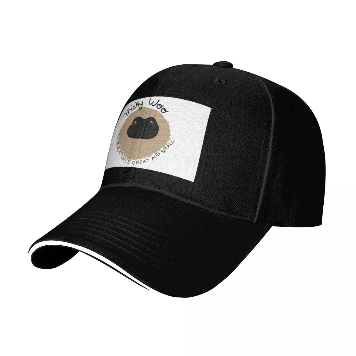 tricky woo Baseball Cap Contrast Two Tone Brim Snapback Flat Bill Strapback Dad Hat