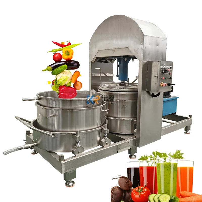 Double Tank Hydraulic Cold Honey Ginger Garlic Pressing Juicing Machine Fruit Vegetable Press Equipment Grape Juicer Extractor