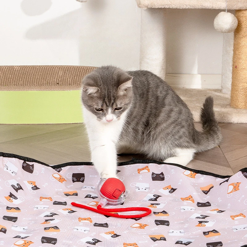 ​​Smart Interactive…