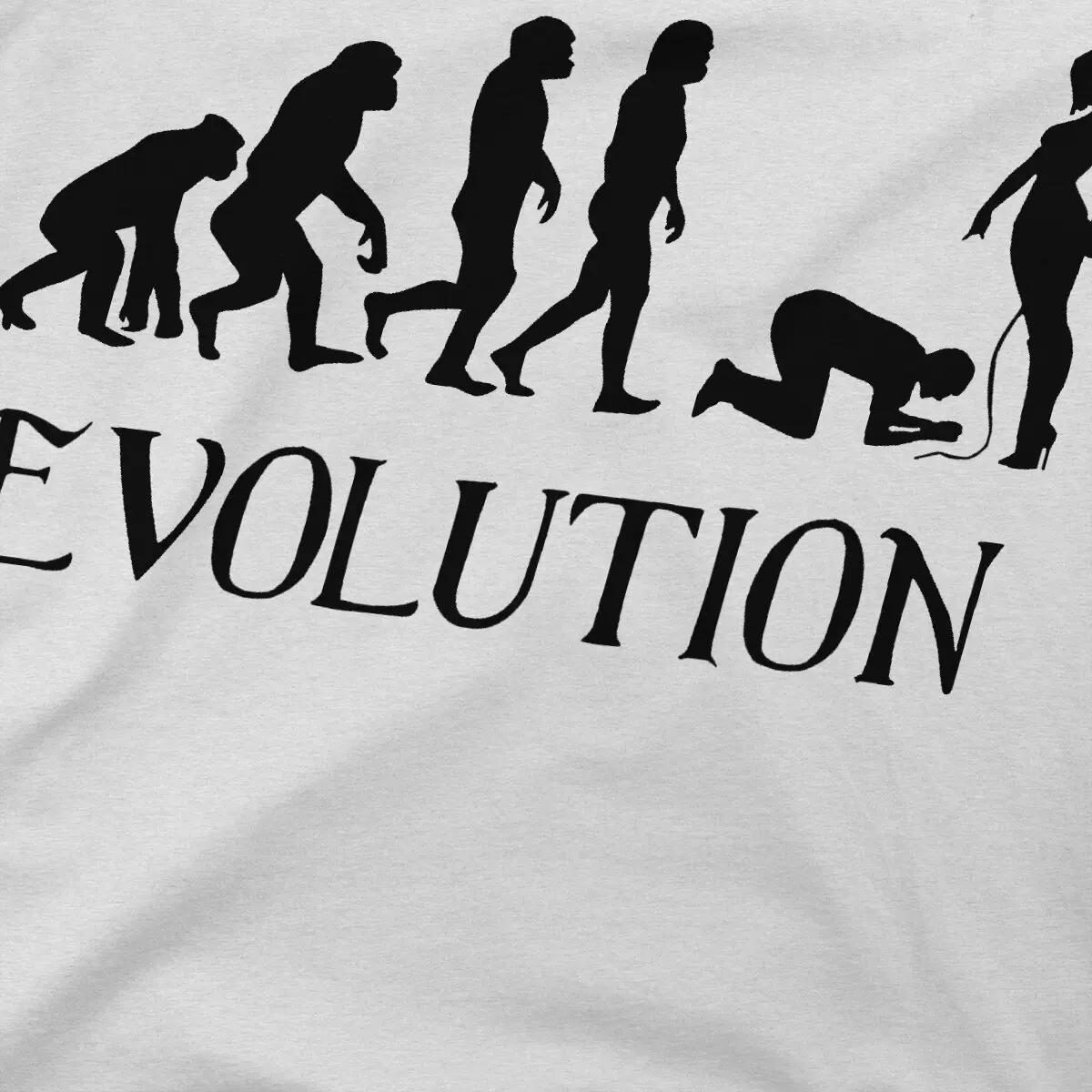 Femdom Evolution Fitted Scoop Unique Polyester TShirt BDSM Top Quality Creative Gift Clothes  T Shirt Stuff