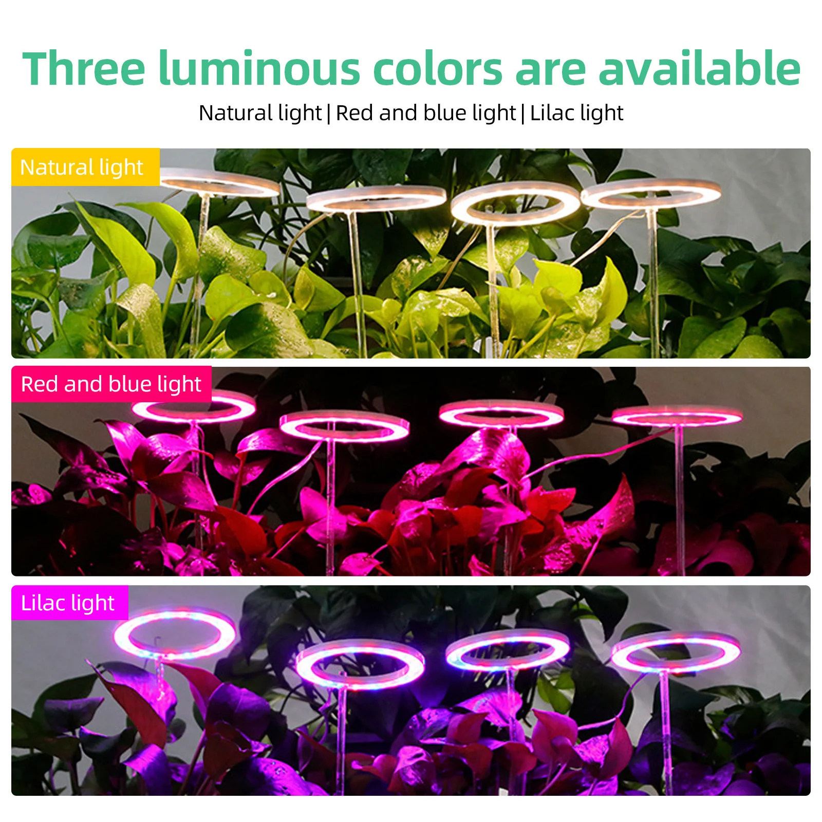 Lampes de culture pour plantes d'intérieur, 3 têtes, 4.8W, 34,5 strada, 60LED, minuterie, USB 625, luminosité variable, succulentes, éclairage bonsaï