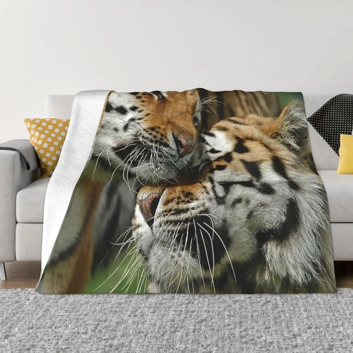 Kissing Bengal Tiger Velvet Throw Blankets Animal Blankets for Bed Car Lightweight Thin Bedding Throws