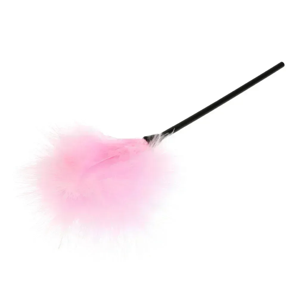 Baguette de chasse en plumes de dinde, jouet interactif, couleur aléatoire