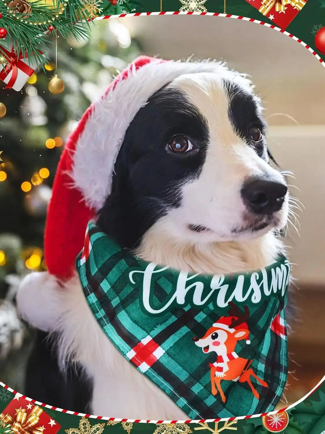 50 Stück Weihnachts-Plaid-Hunde-Bandanas, große Feiertage, Hundeschal, Lätzchen, Welpen, Haustier, Kostümzubehör, Pflegezubehör für Katzen und Hunde – Detail 3