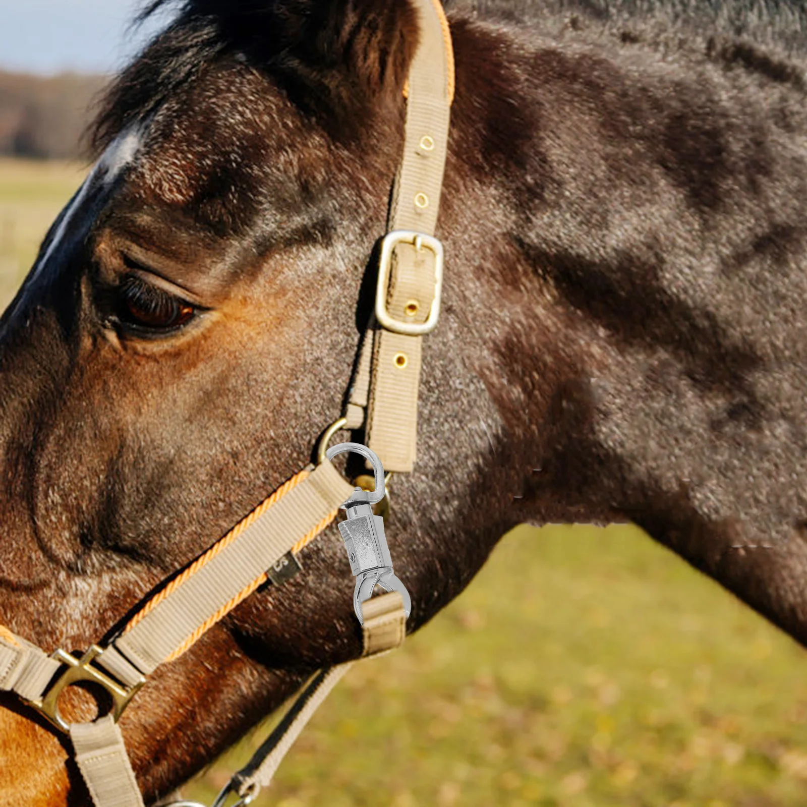

Quick Release Equestrian Snap Hook Zinc Alloy Horse Harness Clip Secure Locking Mechanism Riding Safety Gear Spring Hook