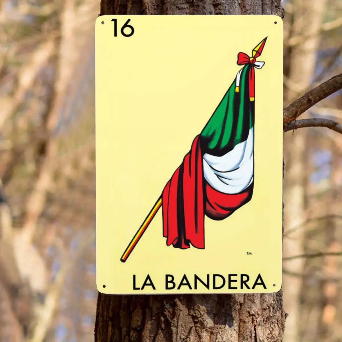 الرجعية لا بانديرا العلم بطاقة اللوتيريا المكسيكي البنغو اليانصيب معدن القصدير تسجيل مستطيل علامات اللوحات حانة مقهى ساحة جدار ديكور فني #6