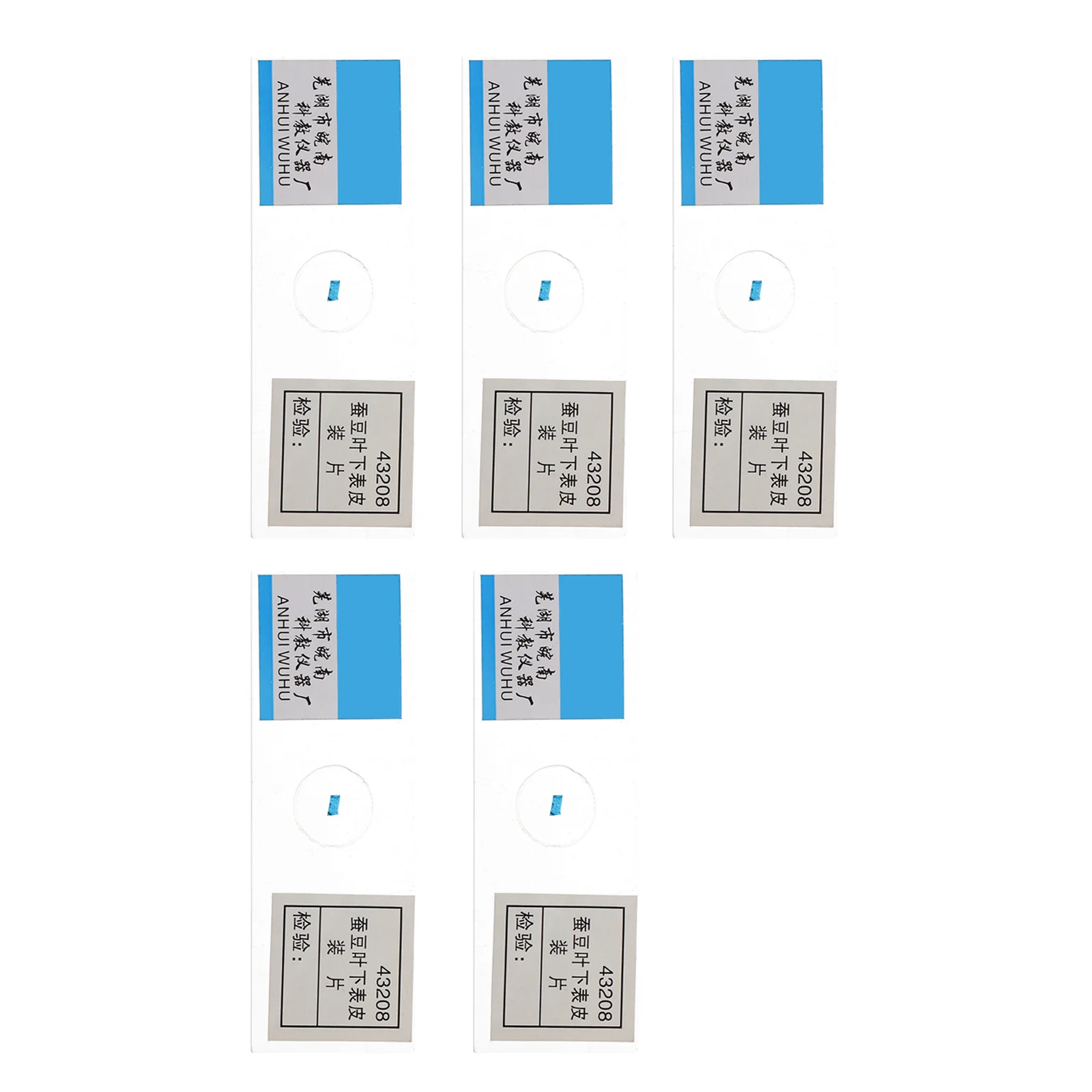 5Pcs Prepared Microscope Slide No Sharper Edges Design for Safe and Reliable Biological Experiments At Home