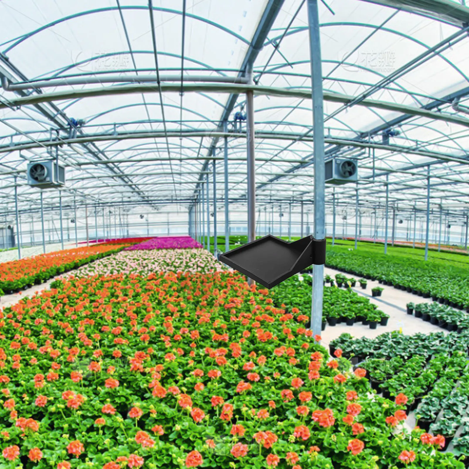 

Equipment Organizer 10*10*3 Grow Tent Racks Easy Installation Maximized Grow Space Grow Tent Organization For Cameras