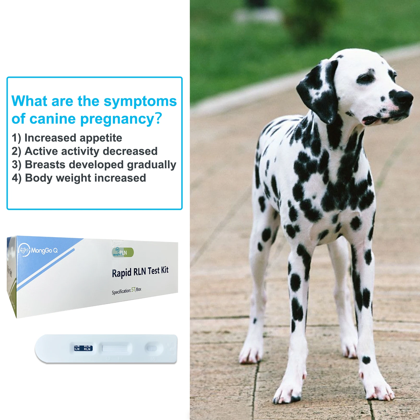 Early Pregnancy Test Strips Kit, RLN Relaxin for Pet Dog, Simple Operation for Detection, RLN-10, 10Pcs