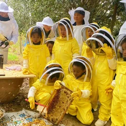 Children's Beekeeping Suit Kids Anti Bee Jumpsuit Breathable Full Body Beekeeping Clothing Professional Safe For Beekeepers