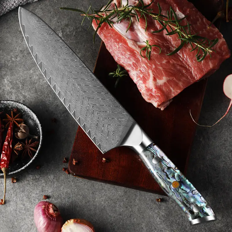 

korknife 8 inch Chef Knife 67 Layers Damascus Steel Kitchen Knives Chef's Knife Edge Kitchen Knife Abalone Resin Handle