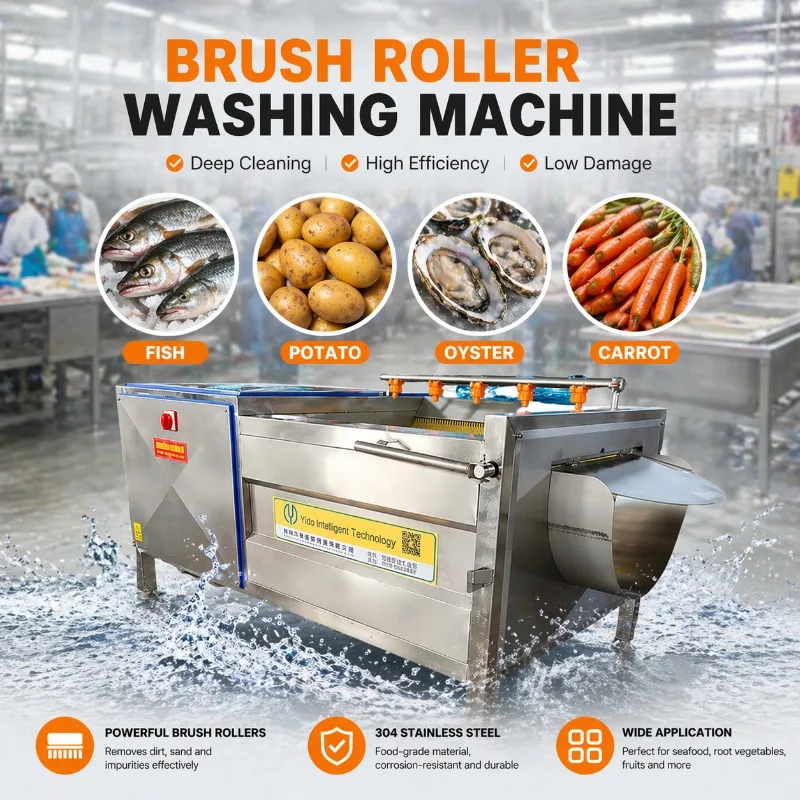 Commercial Brush Roller Cleaning Machine High Efficiency | Vegetable Washer for Potato Sweet Potato Taro Oyster Processing Line