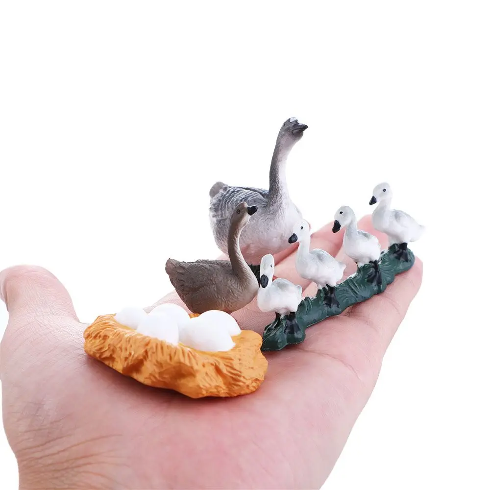 Educational  Hen Poultry Growth Cycle Miniature Growth Cycle Simulation White Goose Cycle Duck Figurine Life Cycle Figures
