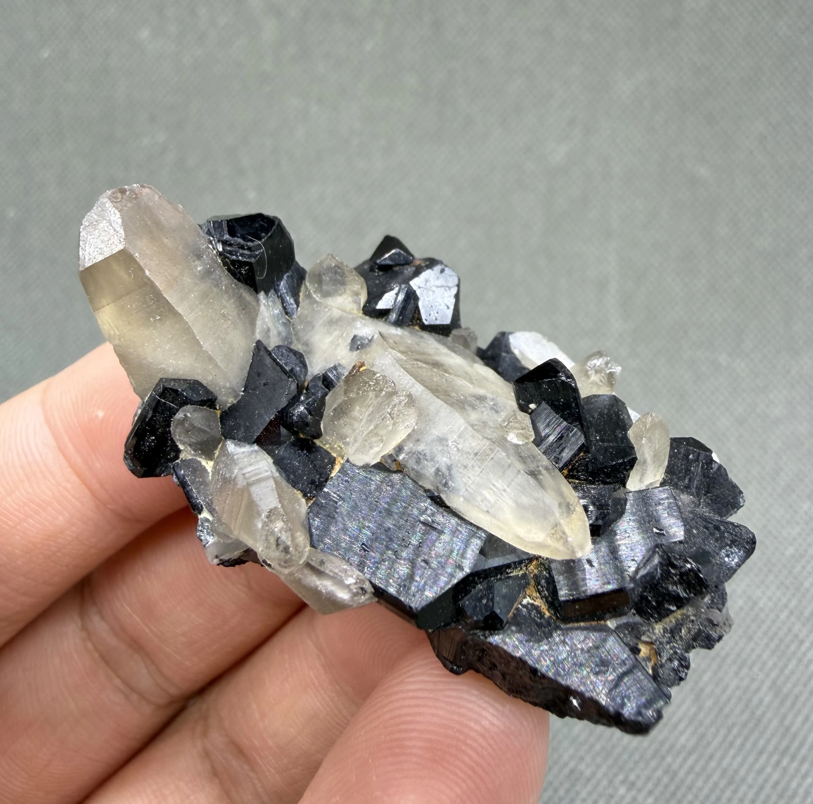 25 g Natural Black Tourmaline on Clear Quartz Specimen Pakistan Skardu Crystal Cluster Geology Collection Stone