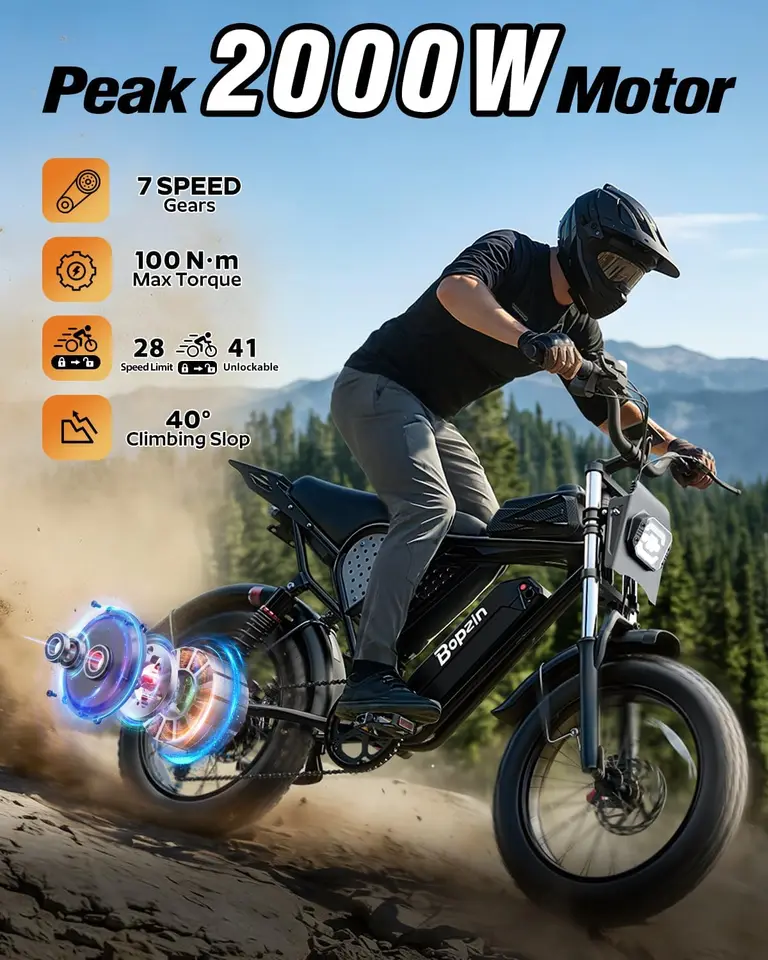 Electric Bike for Adult 1500W-2000W Peak Motor, 48V 20-25AH Removable Large Battery Up to 80 Miles Range, UL 2849 Certifi image 8