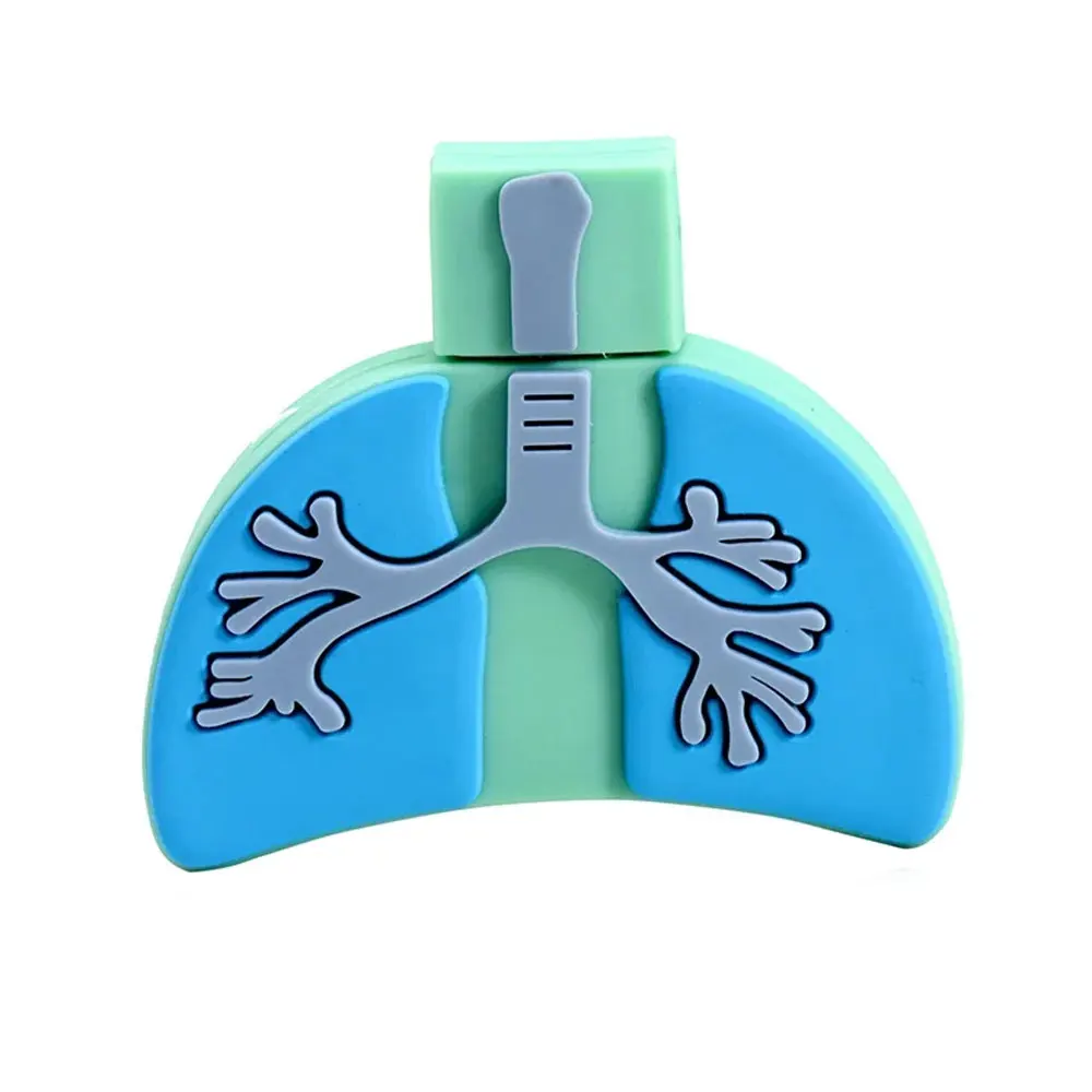 Cartoon Visceral combination USB Flash Drive Lung Heart Stomach Brain shape Pendrive 128GB Memory Stick 4GB U Disk Pen Drive