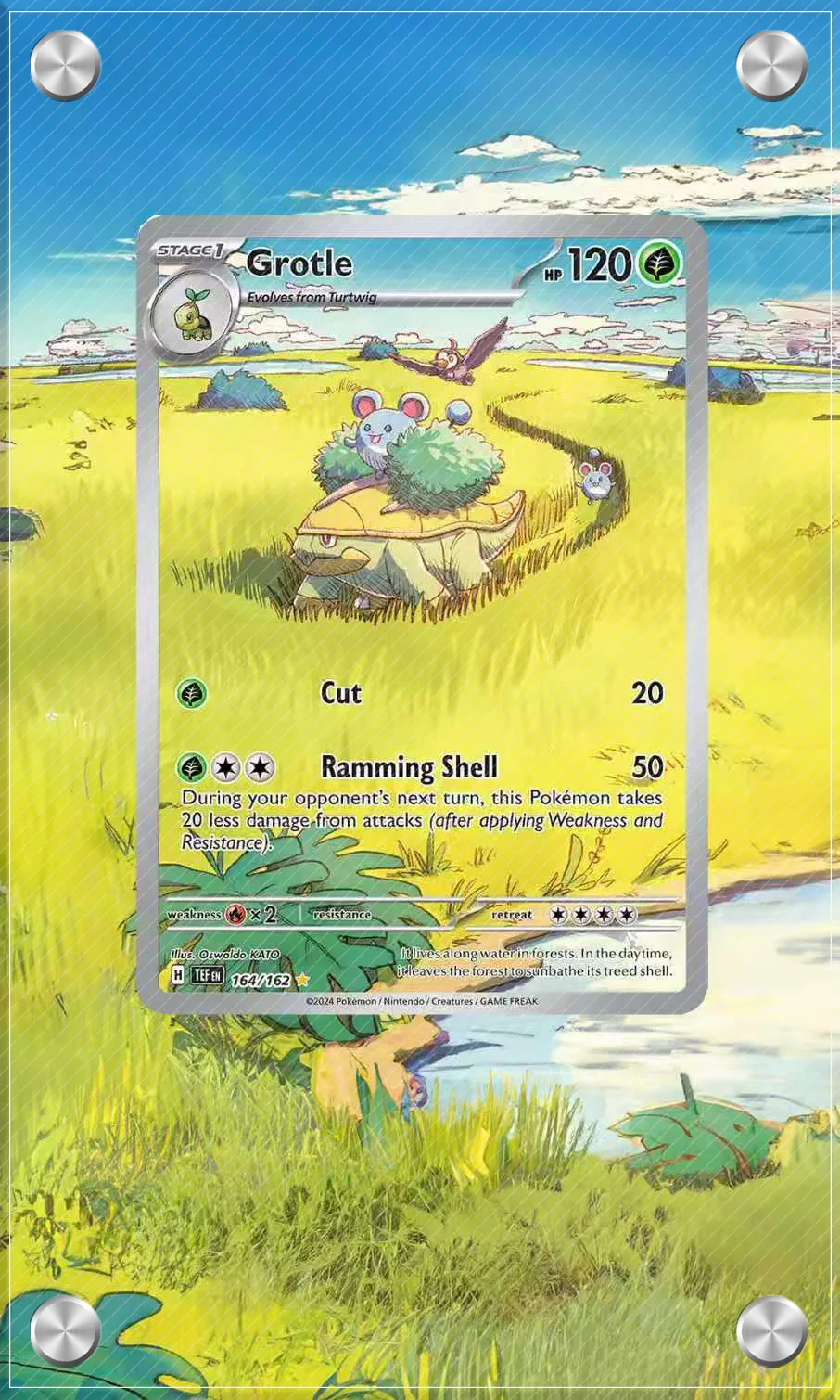 Pokrowiec ekspozycyjny na karty Pokemon Litten Deerling Shiftry Extended Art, kolekcja kart, przedłużona grafika, PSA, anime, stojak ekspozycyjny (bez)