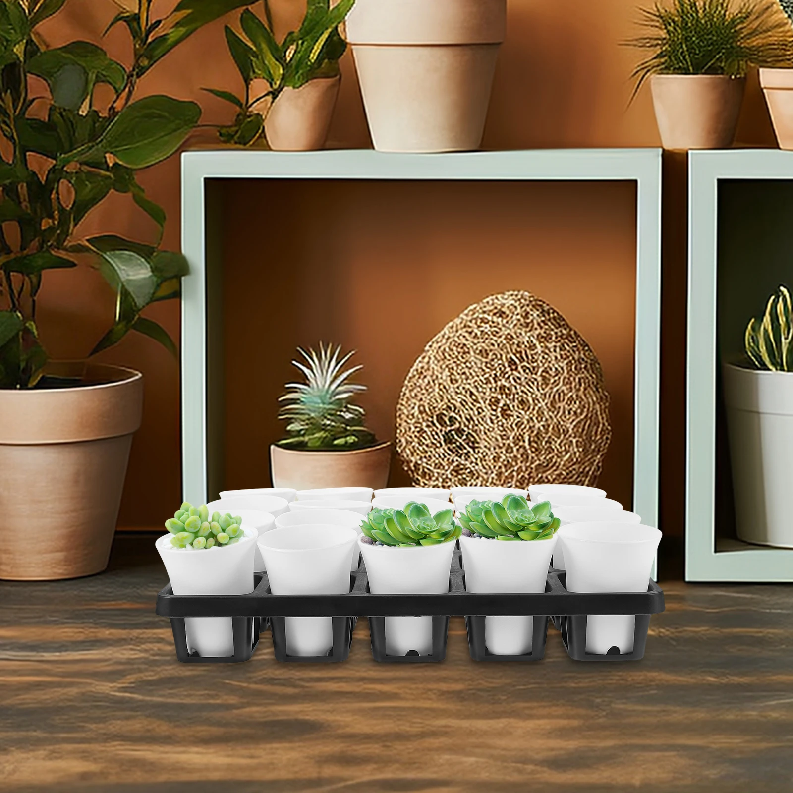 

1 set Succulent Nursery Pots Flower Planting Holder Lightweight Reusable Plastic Planter Humidity Dome Garden Supply