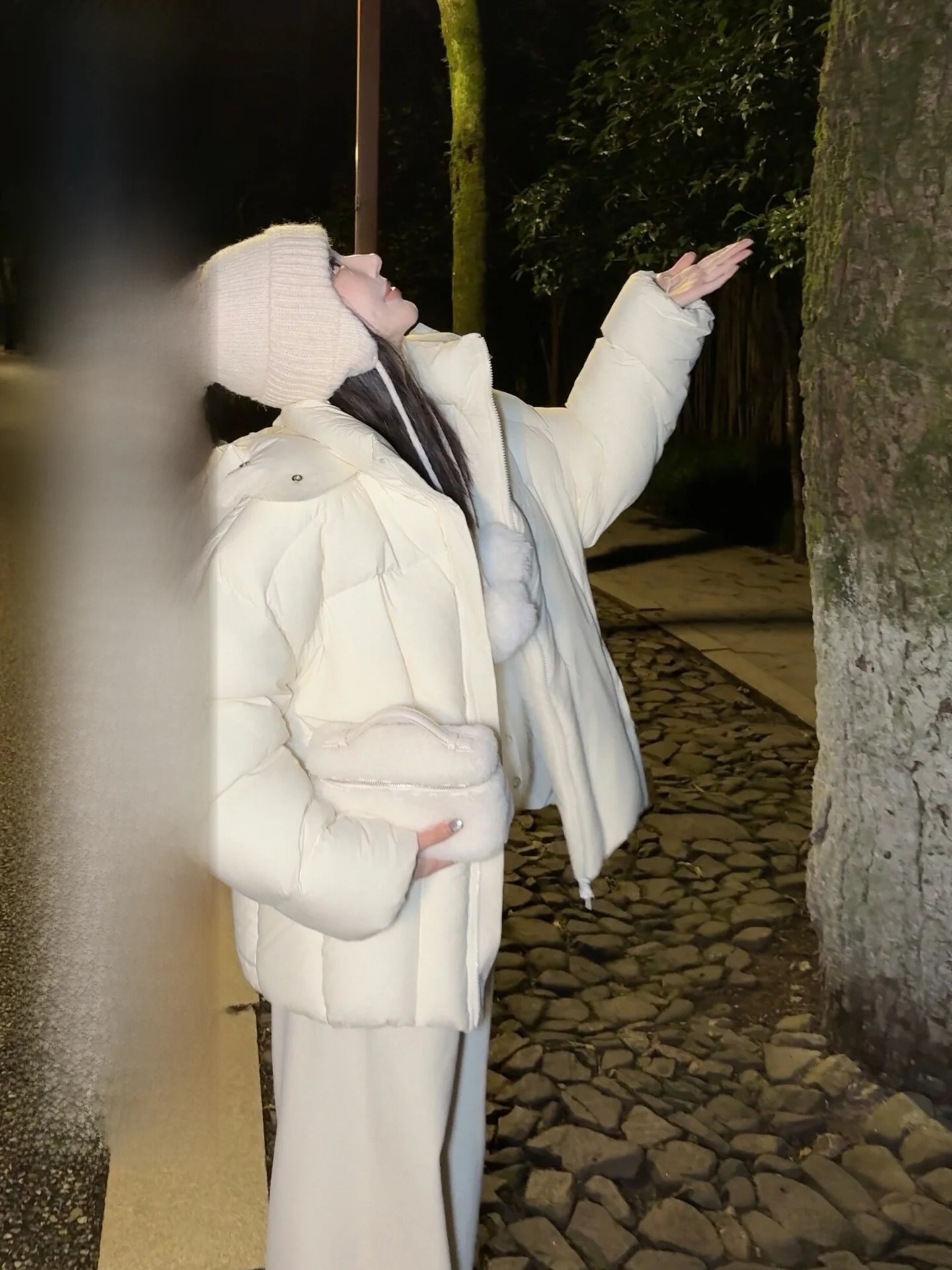 

Зимняя куртка ALIN Brownie Goose Down Jaet: Новая модель с капюшоном, 90% гусиный пух, утепленная, из полиэстера