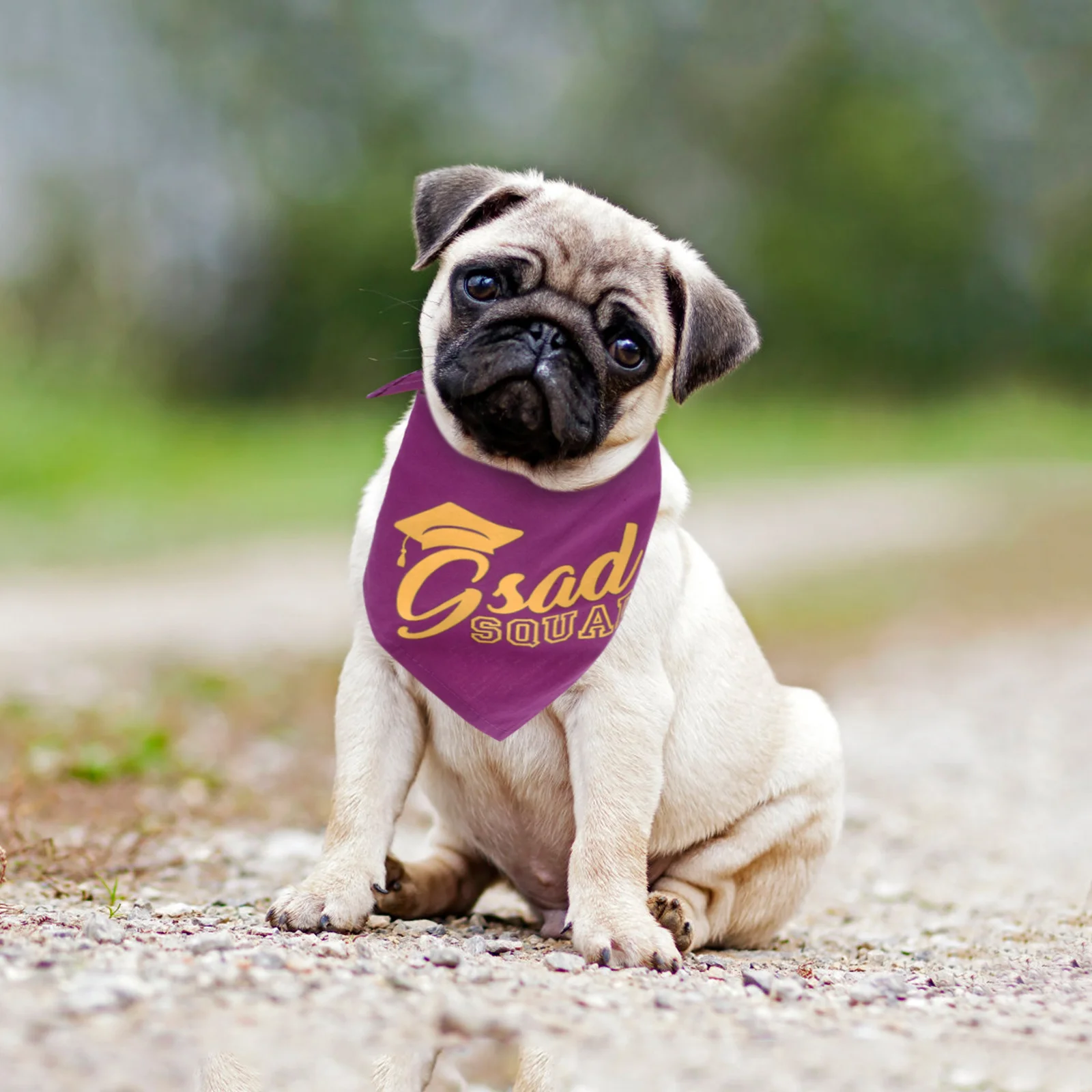 

Pet Graduation Bandana Dog Cat Scarf Adjustable Neck Size Soft Cotton Material Unique Design for Graduation Photos Parties