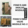 MÓDULO ANALÓGICO AM8 de FONG 1