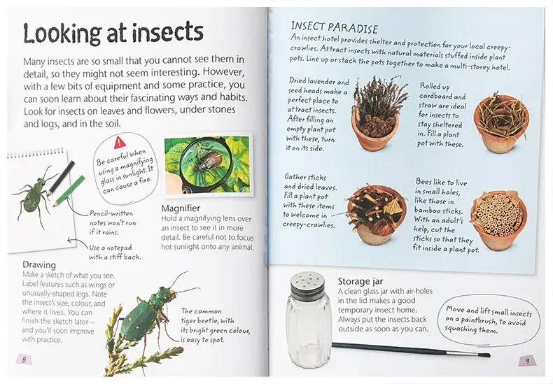 DK Insects and Spiders, Children's books aged 7 8 9 10 English Popular science picture books, 9780241358276