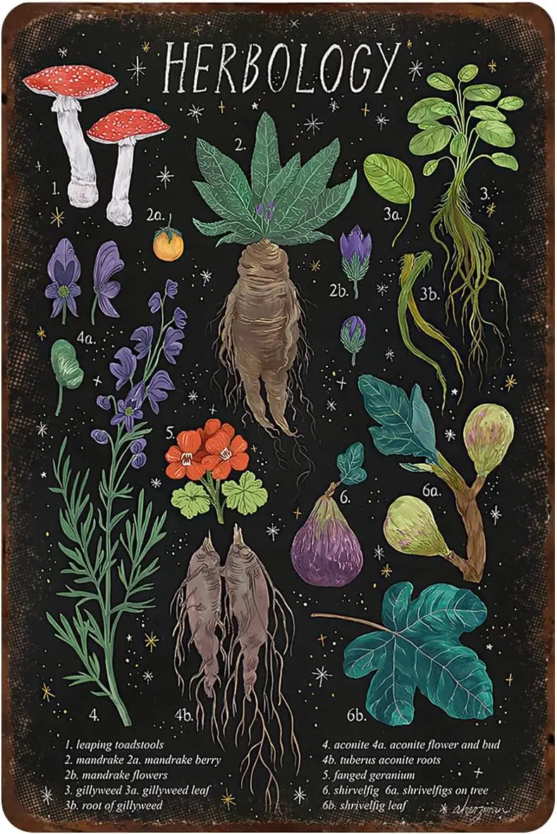 Mocozim ريفي ريترو معدن القصدير تسجيل علم الأعشاب المشارك النبات ماجيك ديكور المنزل جدار الفن لغرفة المعيشة والمطبخ وBedr