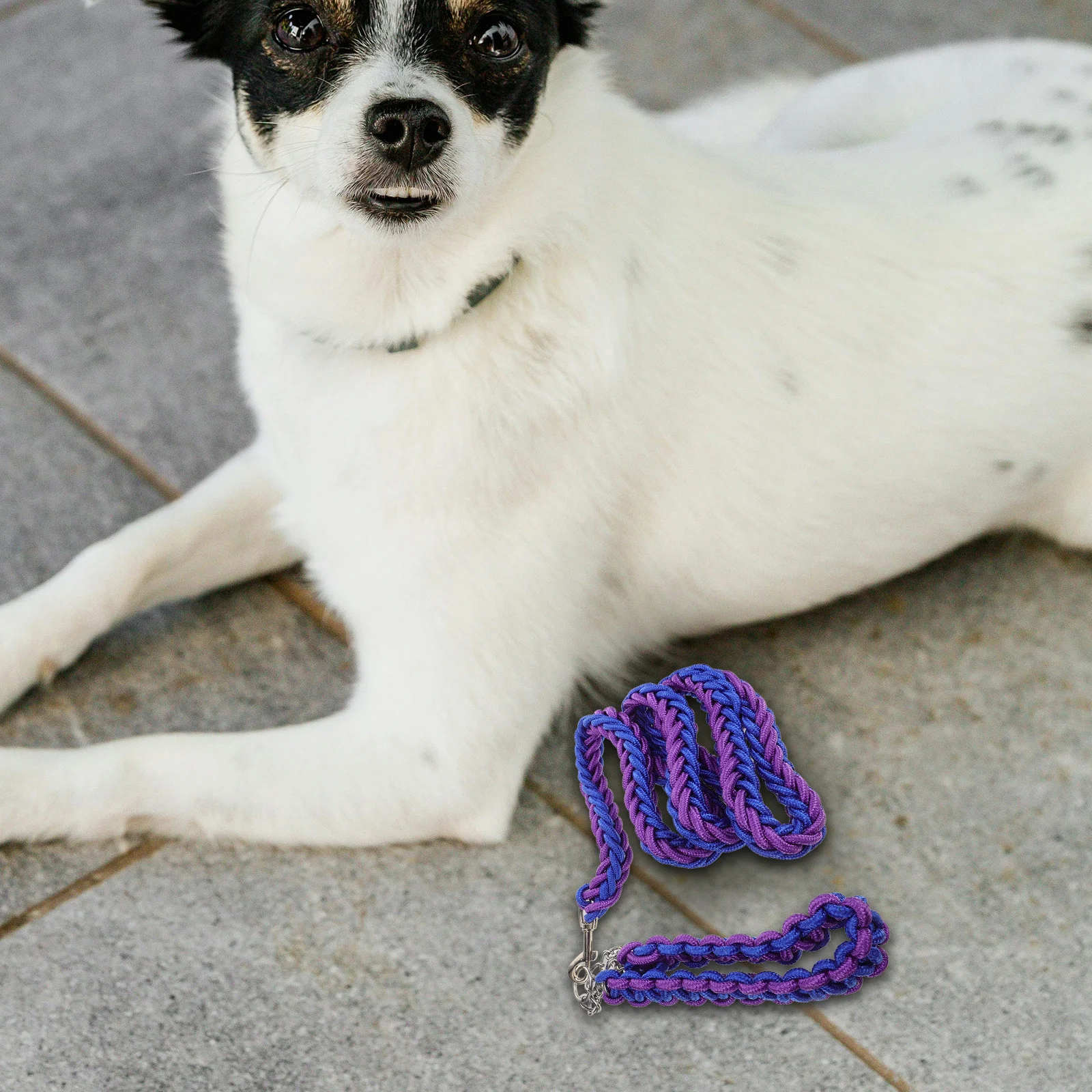 

2Pcs Dog Tie Out Leash Wear-Resistant Nylon Portable Tie-Out Cord for Camping Hiking Backyard Dog Tether Rope Heavy Duty Outdoor