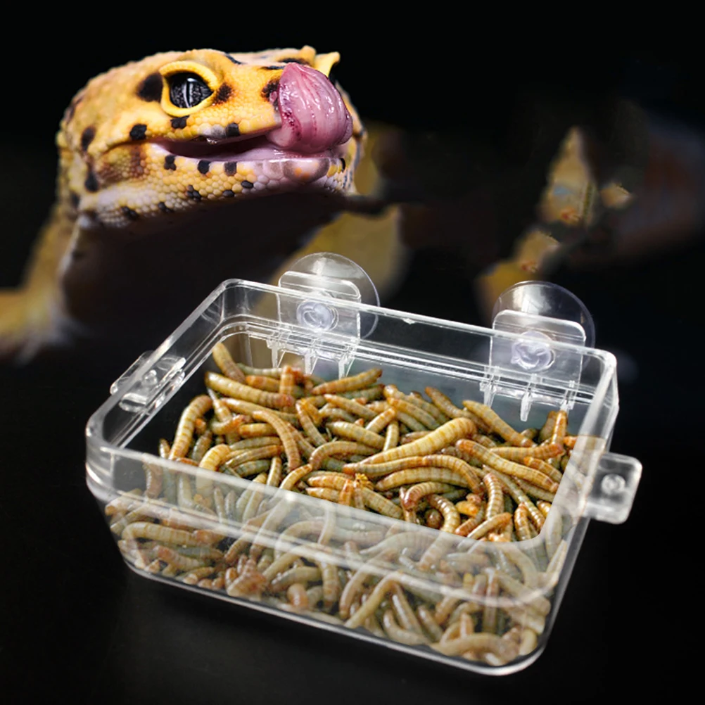 

Reptile Feeding Box Acrylic Transparent Bowl Split Design Shrinkable Mouth Live Food Feeder Water Basin Strong Suction Cup For