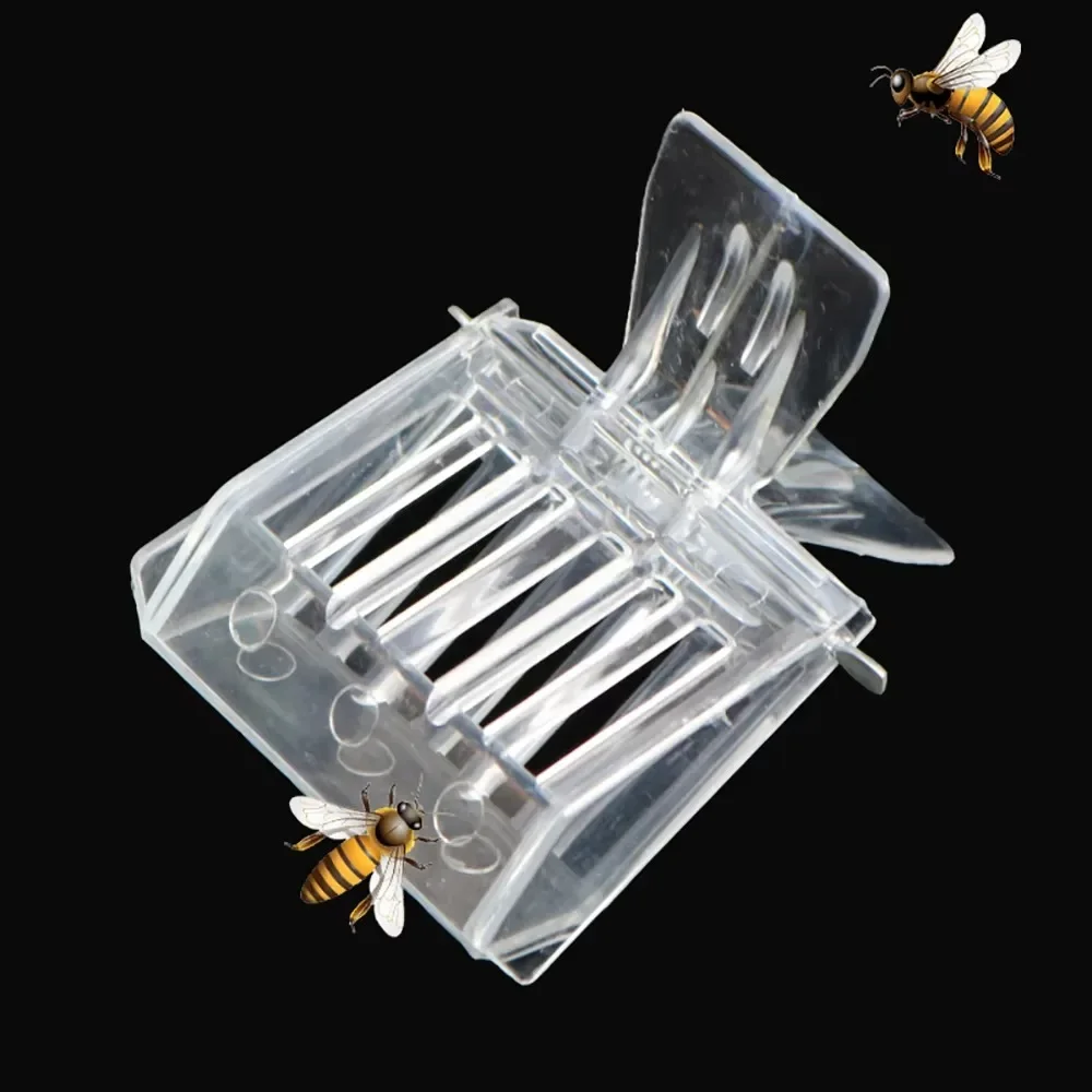

5/1Pcs Beekeeping Queen Bee Cages Bee Catcher Clear Clip Cage Equipment Tool Beekeeper Equip