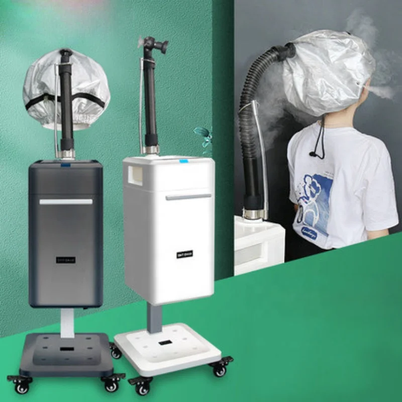 Professional Micro Mist Hair Steamer Ozone Negative ION Nano Spray Steamer Hair&Scalp Care Hair Salon Beauty Salon Home Use