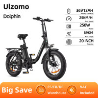 Ulzomo Dolphin Electric Bicycle 250W Motor 36V 13AH City Electric Bike For Commuter 20 Inch Fat Tire E-Bike For Adult