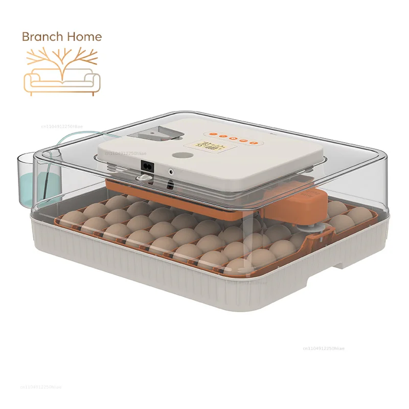 Wonegg Automatic Mini Egg Incubator For Chicken Hatching Machine 56 Capacity With 220v 12v