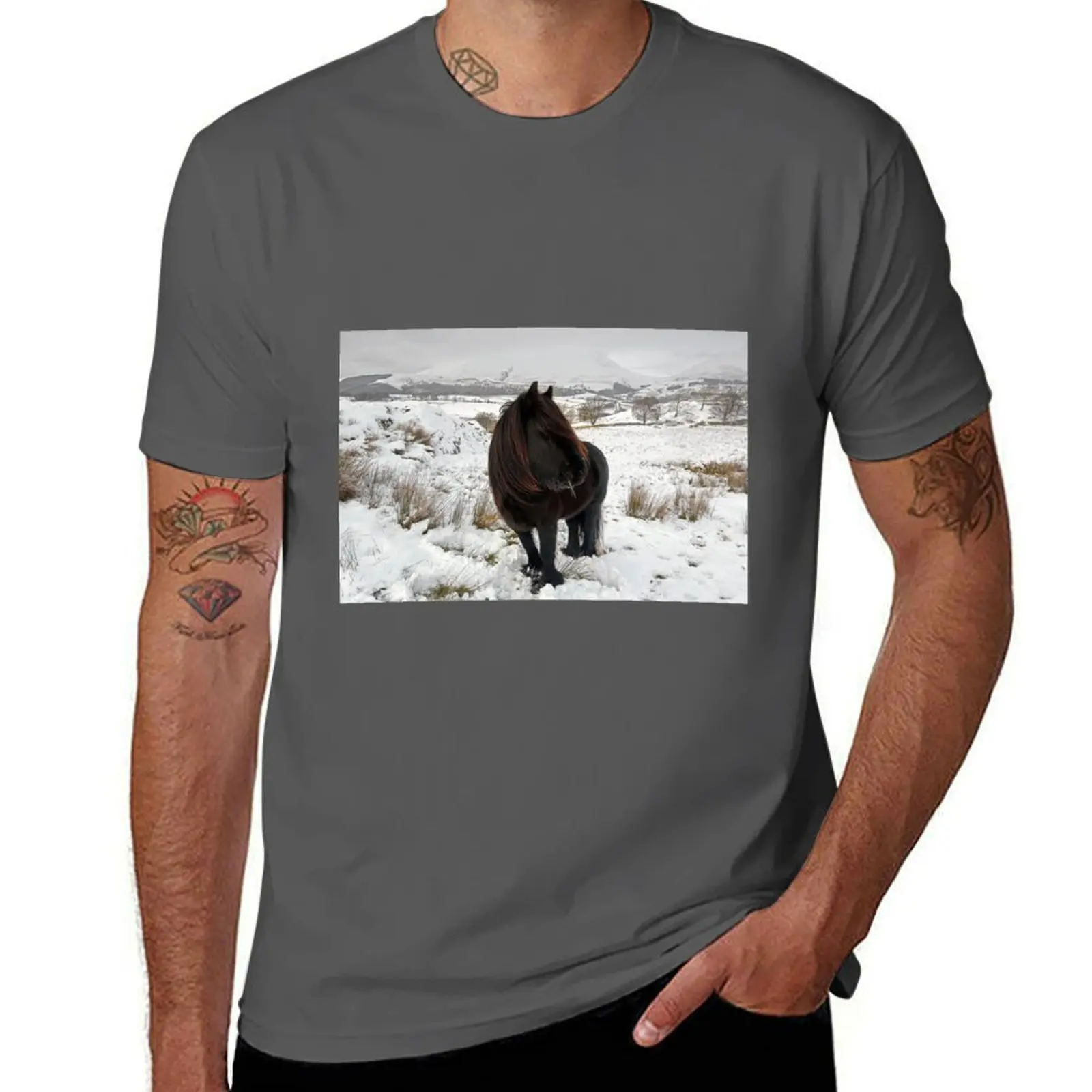 

Just another day for a Lakeland Fell pony T-Shirt Big and Tall Solid Color T-Shirt