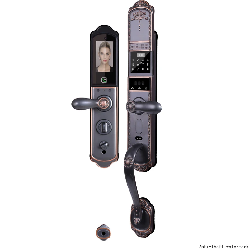 2026-Factory Price European Style Wifi Fingerprint Smart Door Zinc Alloy Steel Wood Door Memory Card Data for Villas