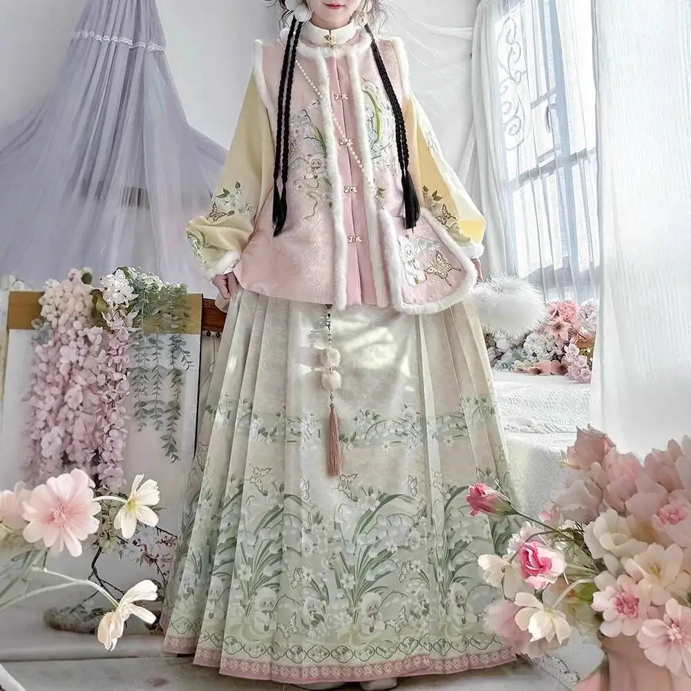 

Ming Dynasty Hanfu women's thickened bi-jia horse face skirt sweet and cute traditional Chinese style daily set