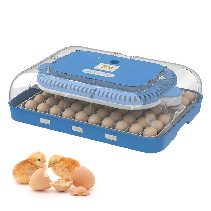 2024 New Arrival YZ-70 Low Price Industrial Cabinet Chicken Eggs Tray Incubator 70 Pcs Capacity egg brooder machine