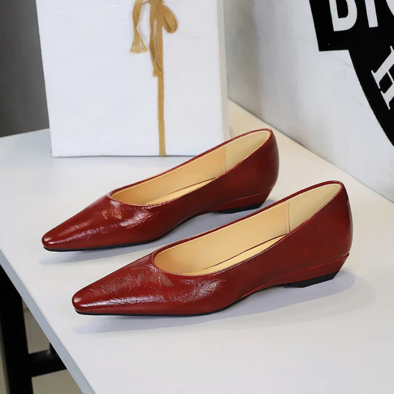 

Comfortable Platform Pumps Women Office Shoes Pointed Toe Low Heel Slip On Versatile Work Casual Style