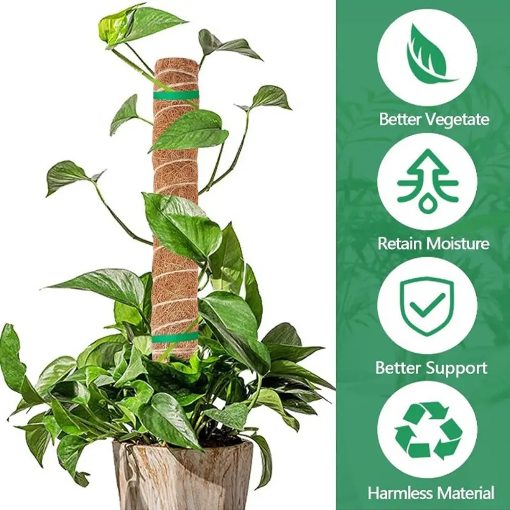 Detachable Moss Pole Plants Climbing Support Extension Palm Vines Stick Plants Creepers to Grow Upwards Gardening Tools