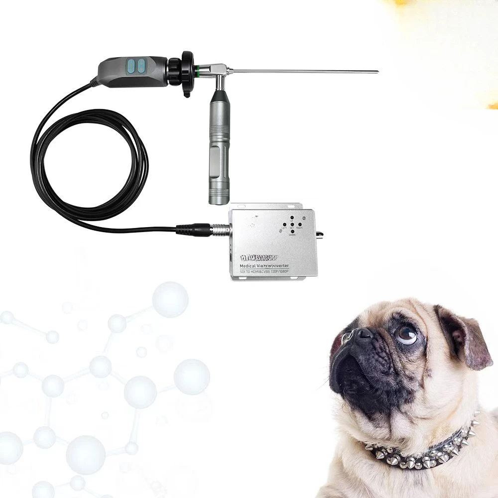 1080P Portable Medical Equipments ENT Endoscopic Camera with Converter To