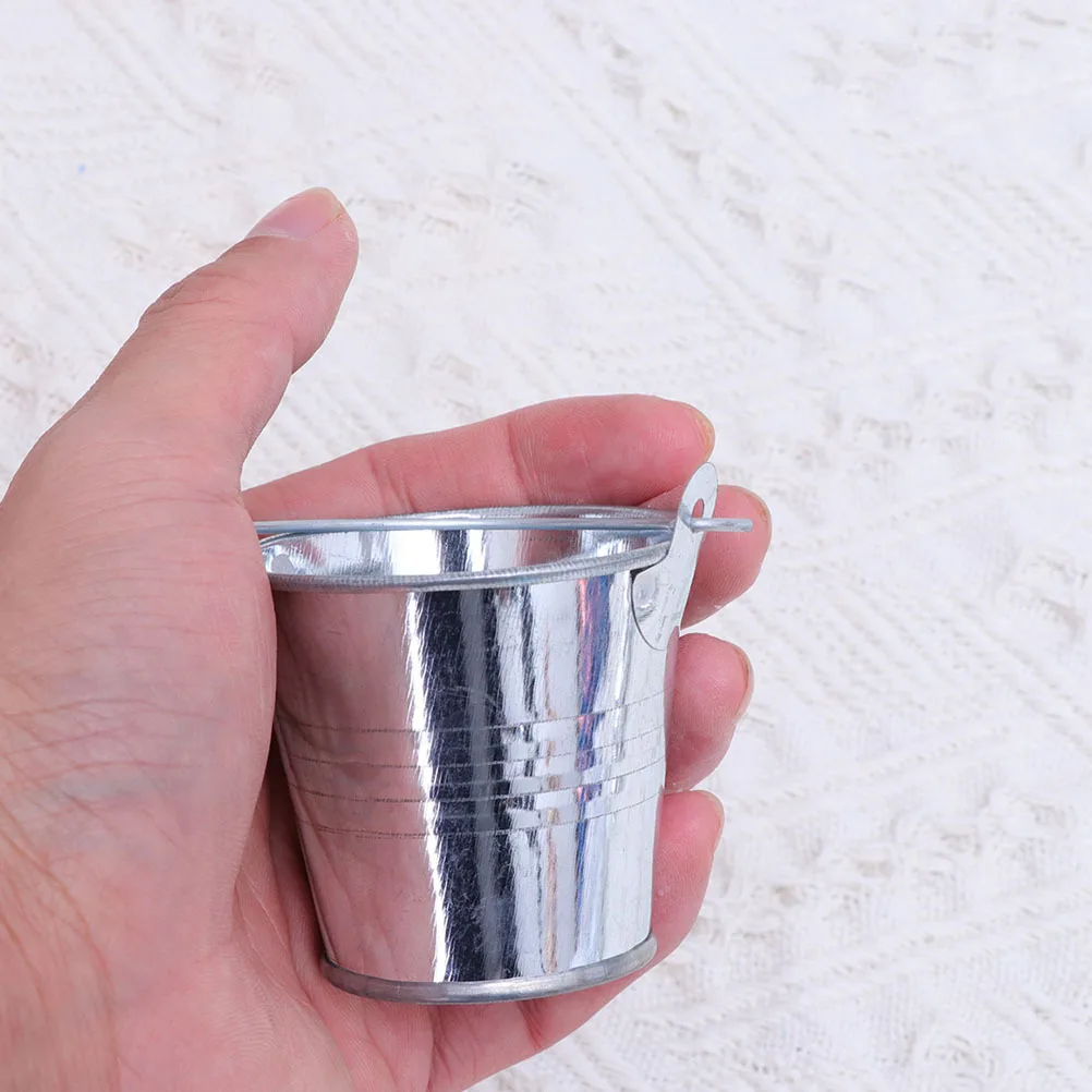 

6Pcs Mini Iron Flower Pot Creative Household Buckets Multi-Function Decorative Planting Pots Stylish Interior Decor