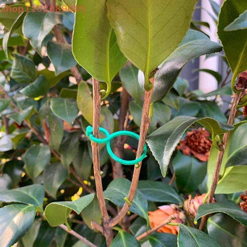 

100pcs Garden Vine Strapping Clips Plant Bundled Buckle Ring Holder Tomato Plant fixed buckle branch tie
